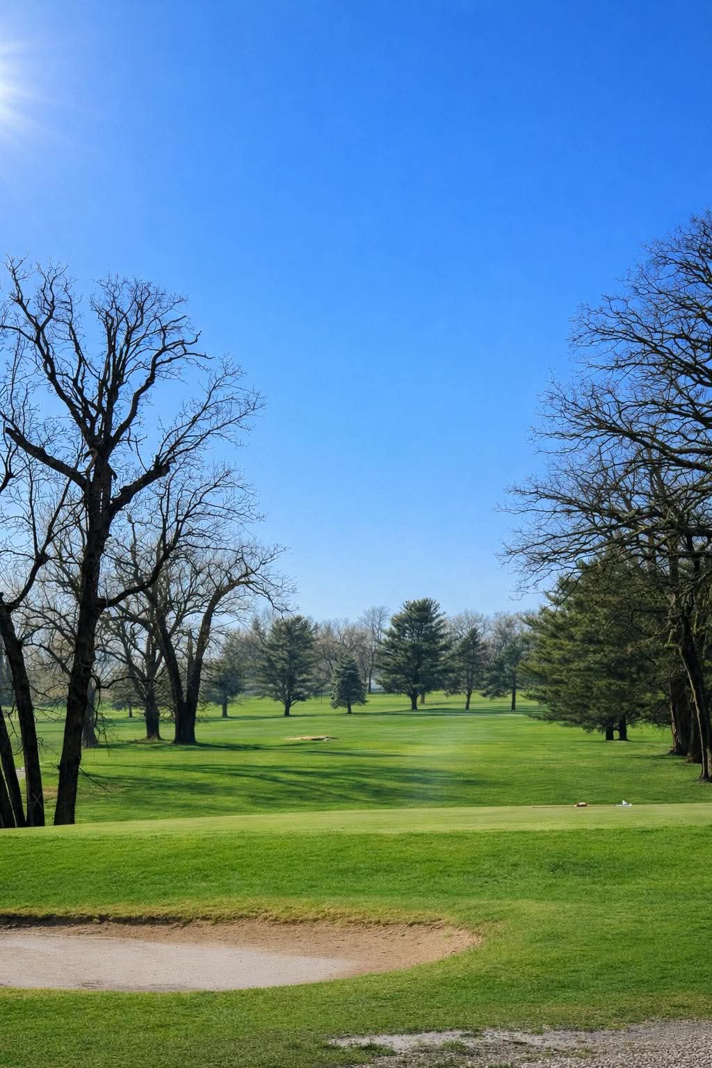 Green view